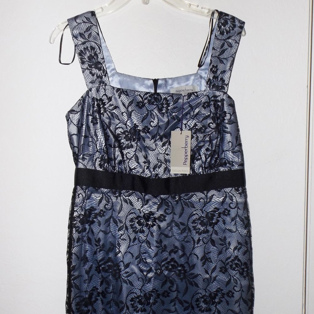Pepperberry lace dress Size 14 SC (M) NWT (#EV1674)